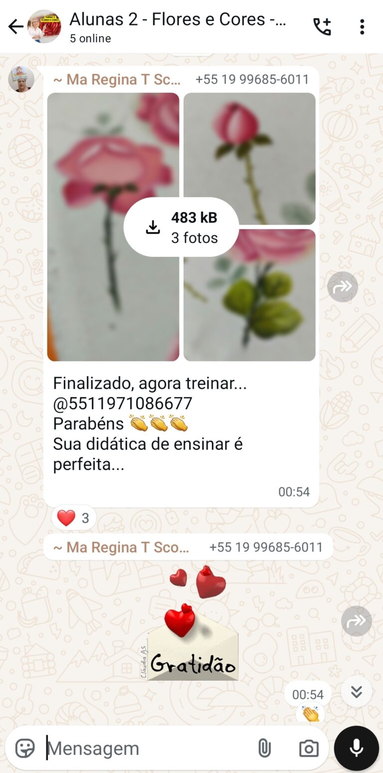 didática perfeita - protocolo rosas